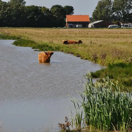Rob's Vakantiehuis